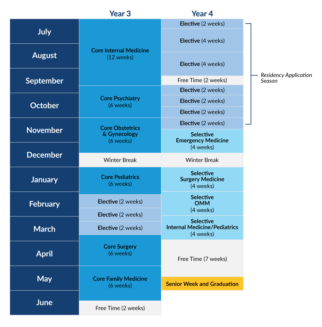 A table displaying the yearly timeline for C O M clerkships