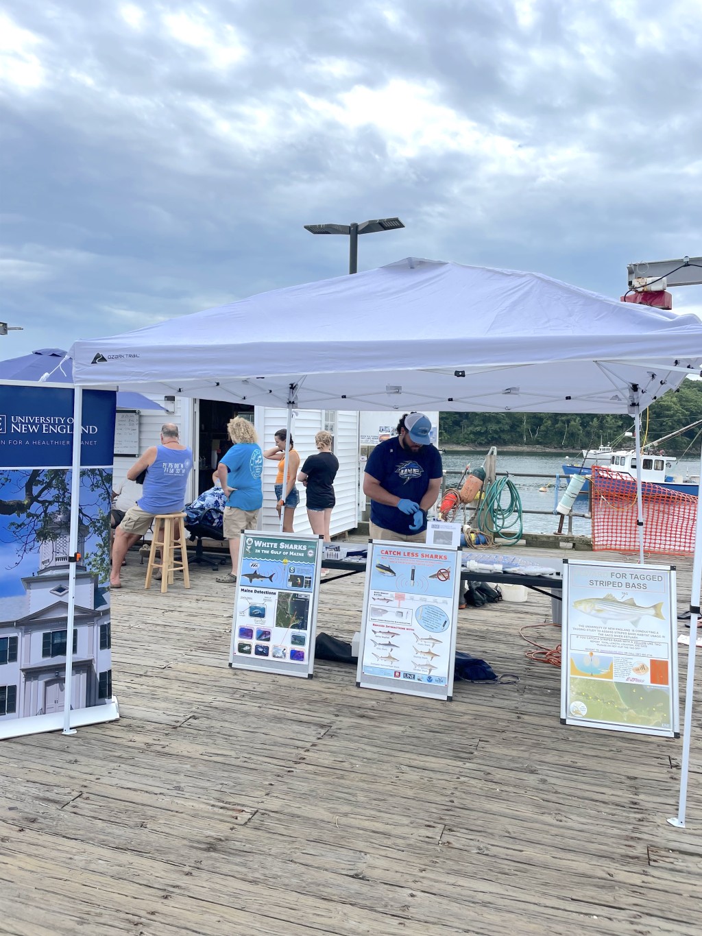 UNE students set up a display table at Camp Ellis HarborFest