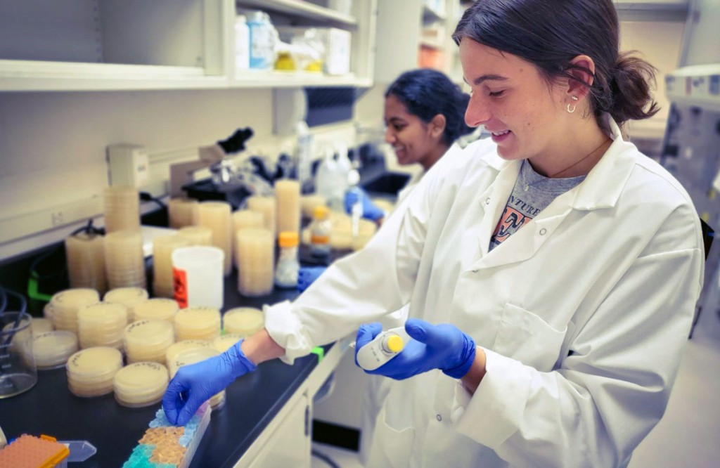 Two students in white coats prepare tubes of liquid in a lab