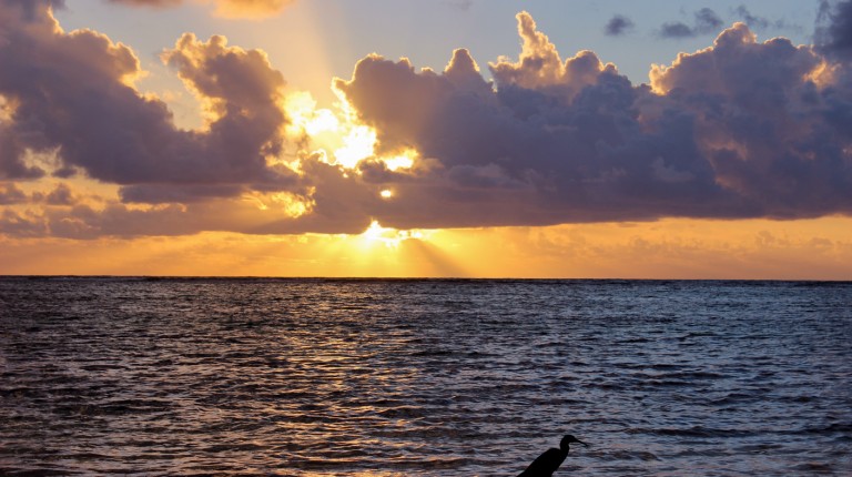 Sunset in Belize