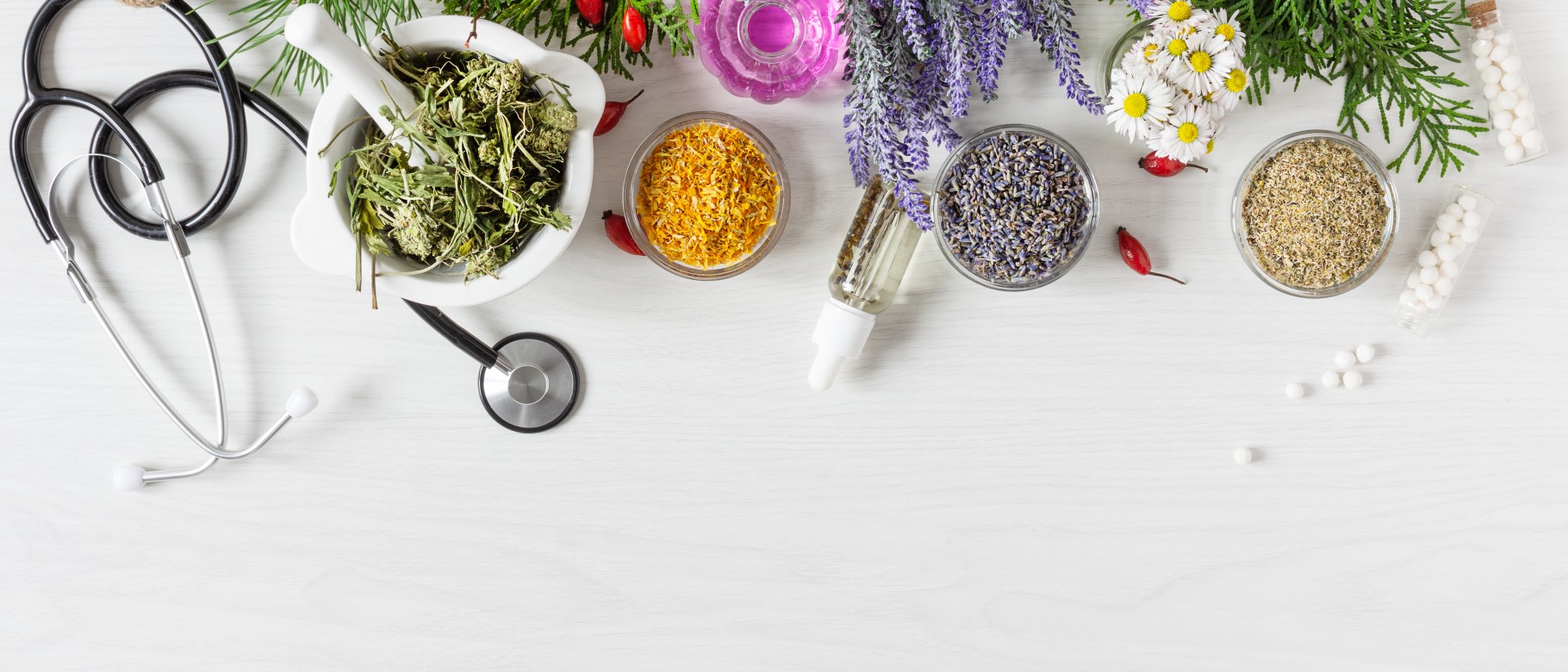 A photo shows several kinds of plants, both whole and ground in bowls, alongside a mortar and pestle and a stethoscope