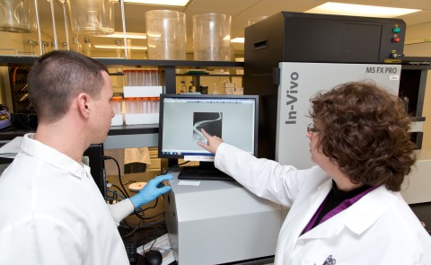 Professor King works with students in her lab