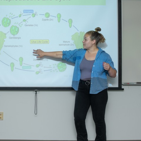 A UNE student presents a slideshow to a room of people